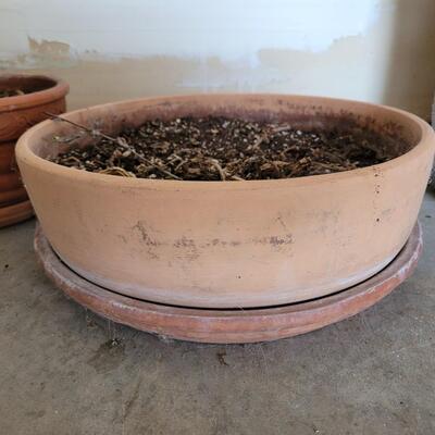 Lot 253: (2) Flower Pot with Dirt