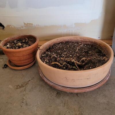 Lot 253: (2) Flower Pot with Dirt