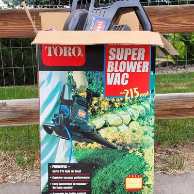 Lot 279: Electric Toro Blower