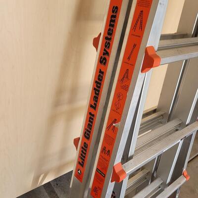 Lot 297: Little Giant Ladder 