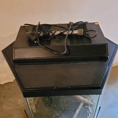Lot 309: Large Hexagon Fish Tank