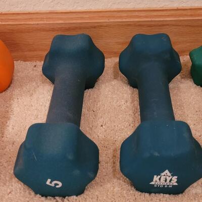 Lot 330: Weight Lot