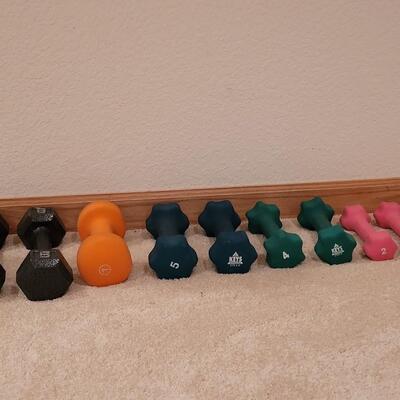 Lot 330: Weight Lot