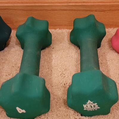Lot 330: Weight Lot