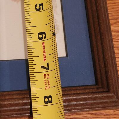 Lot 347: Pressed Flower Picture