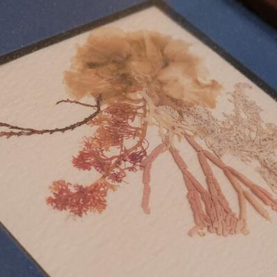 Lot 347: Pressed Flower Picture