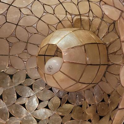 Lot 380: Shell Lamp Shade in Wood Box