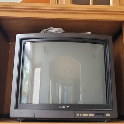 Lot 391: Triton TV