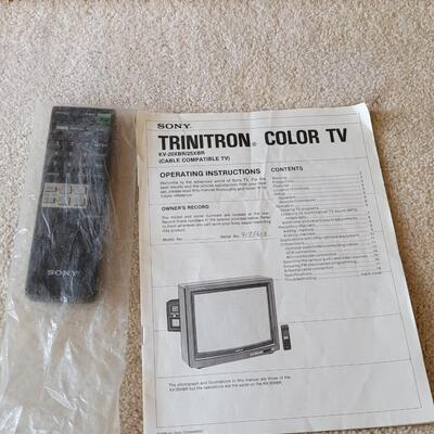 Lot 391: Triton TV