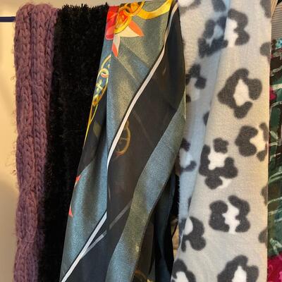 #161 Shawl and Collection of Scarves Lot of 10