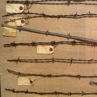 #200 Large Shadowbox Collection of Antique  Barbed Wire Styles on Burlap