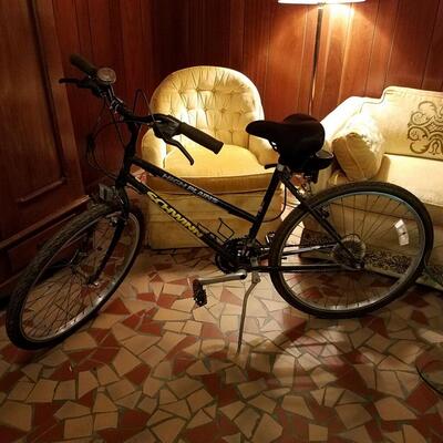 Schwinn 21 speed ladies bike.