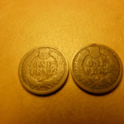2- 1885 and 1901 Indian head one cent coins.