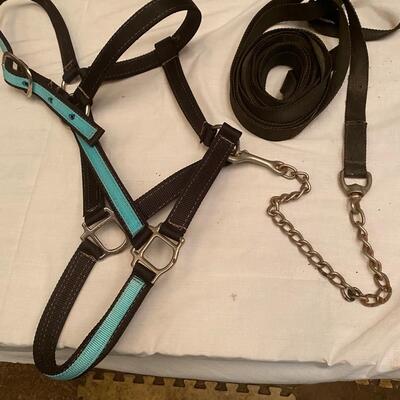 Large turquoise/black halter