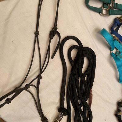 Thin knotted show halter and long lead with leather decoration