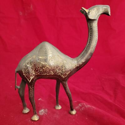 Brass Camel 