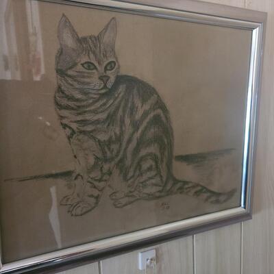 Drawing of Cat
