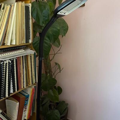 Lot 3- Bookshelf with all contents, lights, faux plant