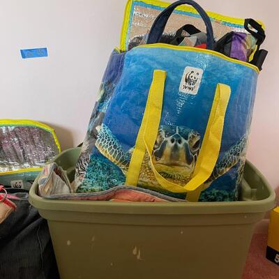 lot 35- Lots of misc. cooler bags/insulated bags and green box
