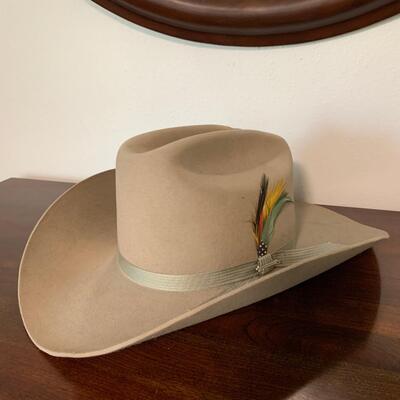 #100 Stetson 3x Beaver Feather Hat