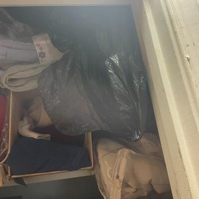 lot 259- entire closet, misc. clothes and linens, etc.