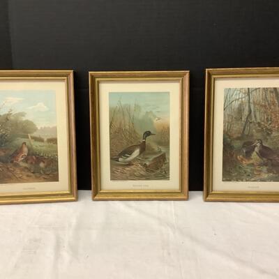 352. Set of Three Selmar Hess Framed Prints 