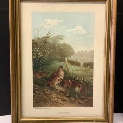 352. Set of Three Selmar Hess Framed Prints 