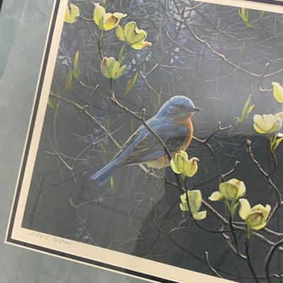 [35] Bluebird and Blossoms | Robert Bateman Print | Signed | Numbered 
