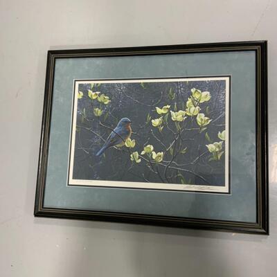 [35] Bluebird and Blossoms | Robert Bateman Print | Signed | Numbered 