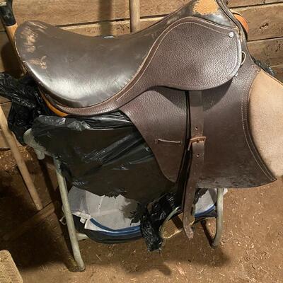 English Riding Saddle