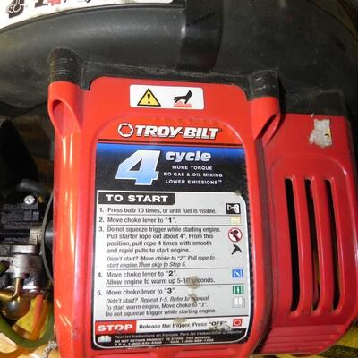 LOT 15  TROYBILT BACKPACK BLOWER 