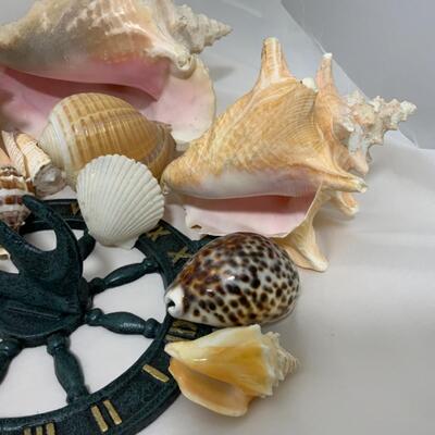 [57] Sea Shells | Anchor Sun Dial | Conch