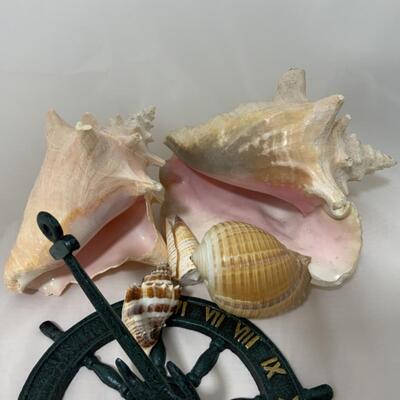 [57] Sea Shells | Anchor Sun Dial | Conch