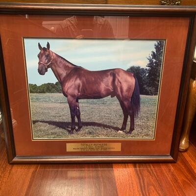 Lot A10: Sweet Reflection & Totally Ruthless Frame Racehorse photos w/ placards