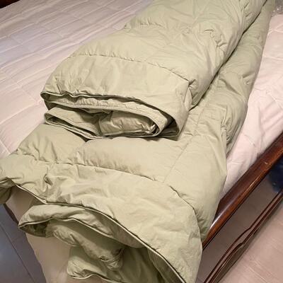 Lot 46  Pale Green Poly Fill Comforter  King or Queen