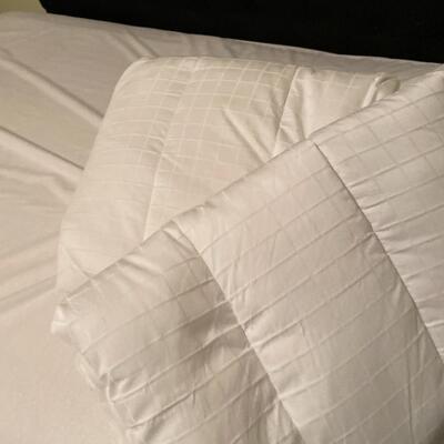 Lot 55  Queen Mattress Pad
