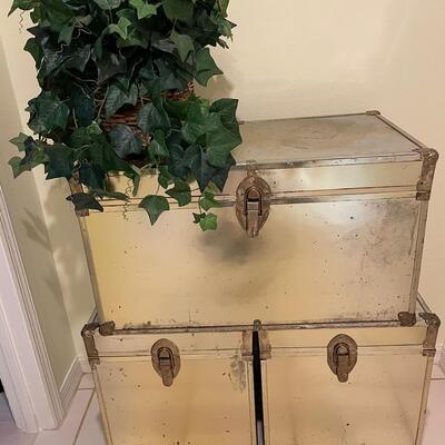 Lot 64  Three Brass Trunks and Silk Ivy