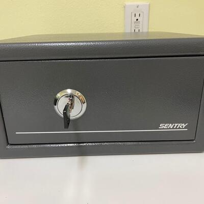 Lot 98  Sentry Portable Safe