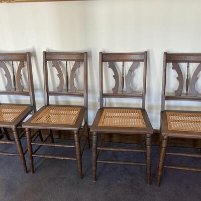 Walnut Chairs