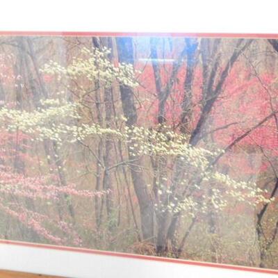 Chestnut Wood Frame Picture Wall Deor Signed and Limited Series