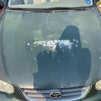 lot 352- 2001 Toyota Corolla 4s green runs great. Title is clear and in hand!