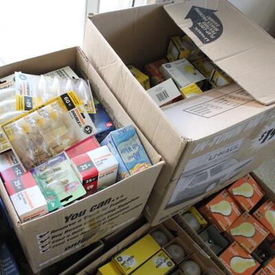 Lot 141 HUGE lot of NWT Light Bulks