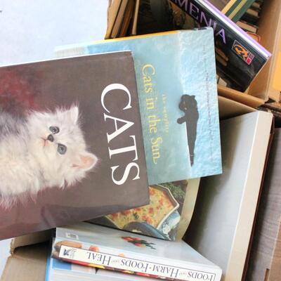 Lot 242 Four Boxes of Books