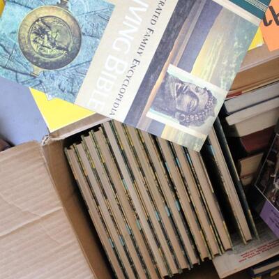 Lot 242 Four Boxes of Books
