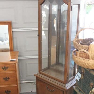 Lot 254 Glass Lighted Display Cabinet - No Shelves - 69x11.5x23.5