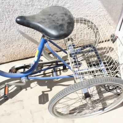 Lot 270 Tri-Rider Bike