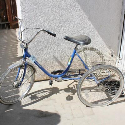 Lot 270 Tri-Rider Bike
