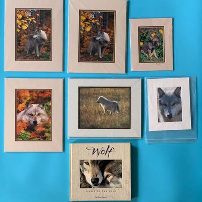 Wolf Photography Lot