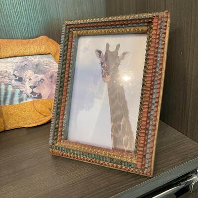 #128 African Animal Pictures and Frames