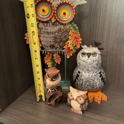 #129 (4) Owls Collection